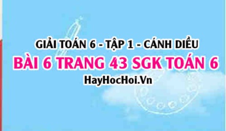 Giải bài 6 trang 43 Toán 6 Tập 1 SGK Cánh Diều